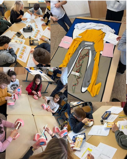 Zahnprojekt Zahnprojekt